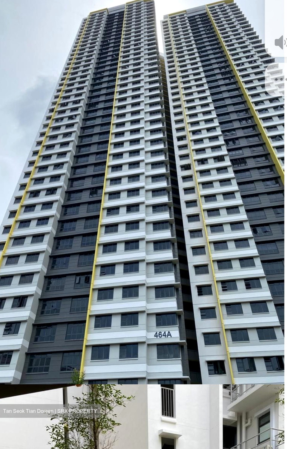 Blk 464A Clementi Peaks (Clementi), HDB 4 Rooms #490981701